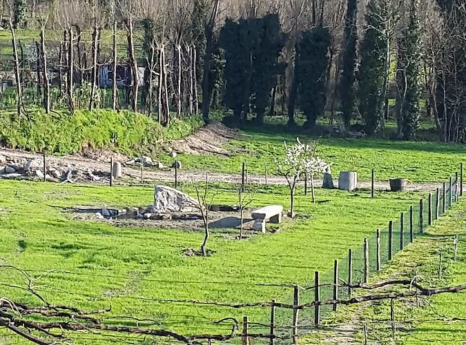 Quinta Do Rio Gospodarstwo agroturystyczne